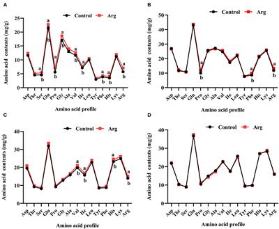 L-arginine alters myogenic genes expression but does not affect breast muscle characteristics by in ovo feeding technique in slow-growing chickens